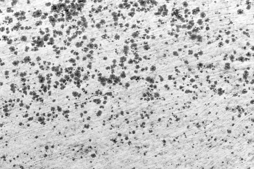 Preview: Black mold on white paint concrete wall.