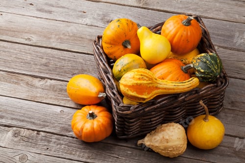 Preview: Autumn pumpkins on wooden table