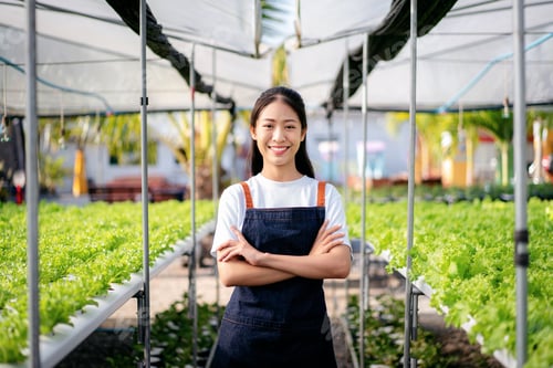 Preview: Confident woman smiling and standing with arms cross in hydroponics farm after inspecting quantity