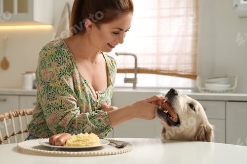 Preview: Owner giving sausage to cute dog in kitchen
