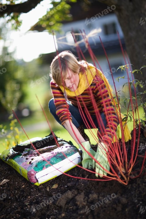 Preview: autumnal gardening