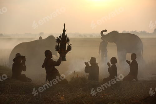 Preview: Elephant at sunrise in Thailand