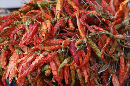 Preview: Dried red chili peppers background.