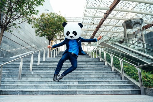 Preview: Storytelling image of a business man wearing a giant panda head