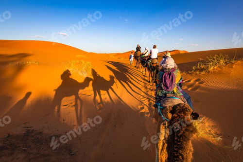 Preview: Camel shadows in Sahara with tourists