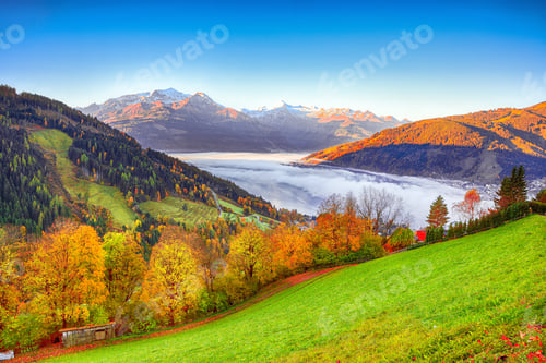 Preview: Spectacular autumn view of lake meadows trees and mountains in Sell Am See