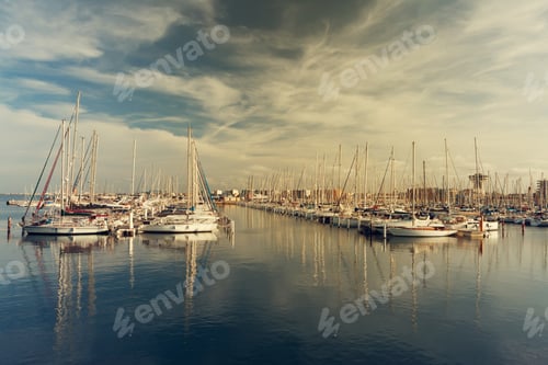 Preview: Many sail yachts in the sea harbor