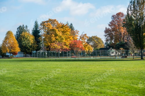 Preview: A View Of A Neighborhood In Burien, Washington In Autumn.