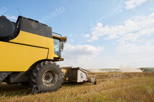 Preview: Side View of Modern Combine Machine Gathering Wheat Crop on Rural Farmland