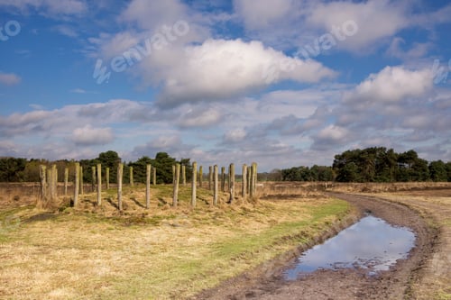 Preview: Tomb hill along a footpath in the Regte Heide