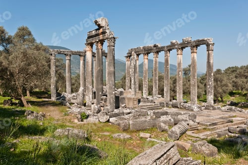 Preview: Euromos, Aegean Turkey