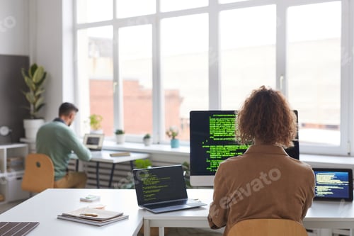 Preview: People working with computers programs