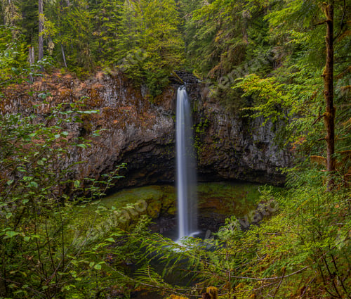 Preview: Scenic views at Big Creek Falls
