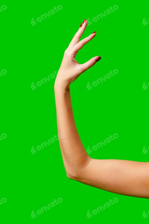 Preview: Womans Arm Hand Sign Raised in the Air