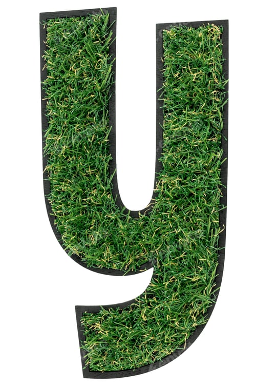 Preview: Letter Y made of green grass isolated on white.