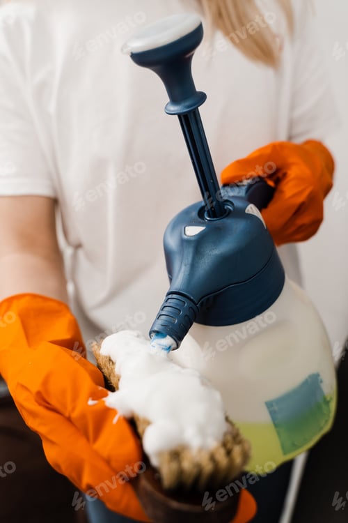 Preview: Housekeeper using brush and detergent to clean sofa with extractor machine, professional service