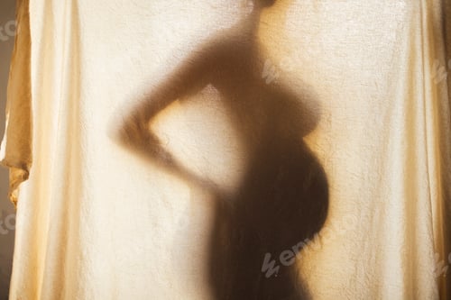 Preview: Shadow silhouette of a female pregnant behind a textured fabric.