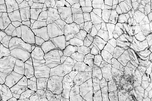 Preview: Cracked scaly surface - texture