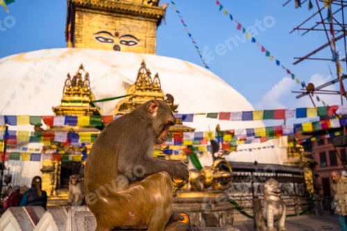 Preview: Swayambhunath Stupa in Kathmandu, Nepal