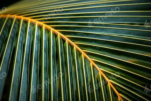 Preview: lush green tropical vegetation background