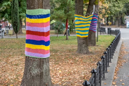 Preview: Trees wearing colorful knitted scarves in autumn park. Care about nature and environment concept