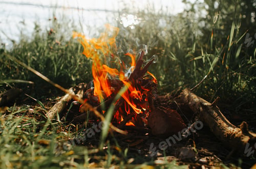 Preview: Bonfire in nature, red flame burning firewood in forest outdoors, close-up
