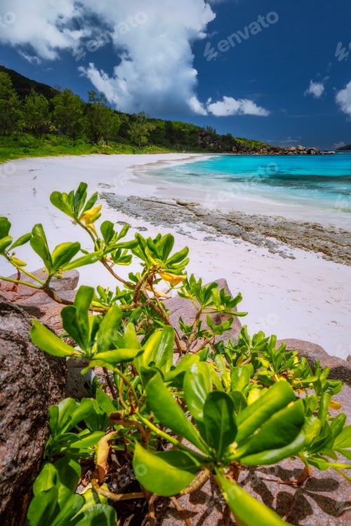 Preview: Beautiful wild pristine white sand paradise beach at Seychelles, La Digue tropical island