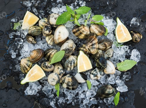 Preview: Fresh uncooked clams with lemon, herbs and spices on chipped ice over dark slate stone backdrop
