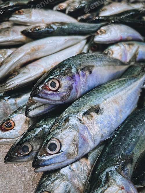 Preview: raw fishes