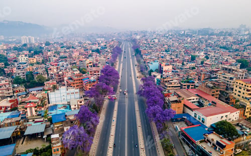 Preview: aerial view of blossom Jacaranda flower in ring road highway