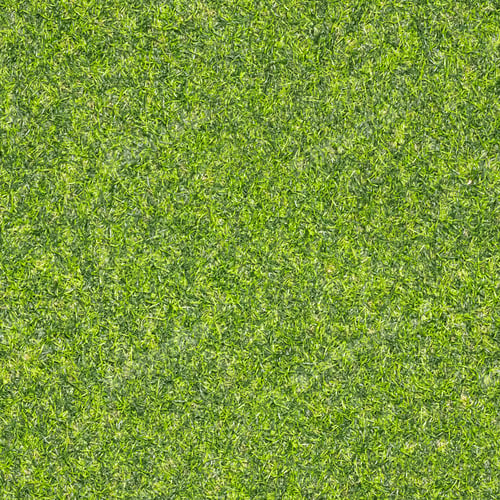 Preview: Green grass texture