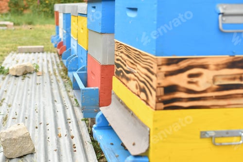 Preview: Beehive box at the apiary
