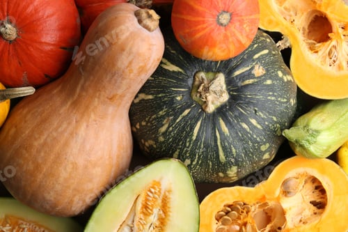 Preview: Many fresh pumpkins and other gourds as background, top view