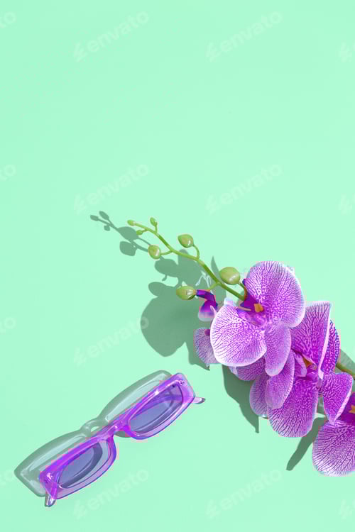Preview: Plastik orchid flowers and stylish sunglasses. Fashion concept minimal art