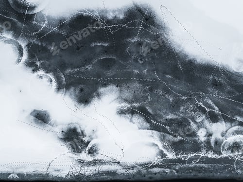 Preview: Foot traces on the ice of migrating animals in winter
