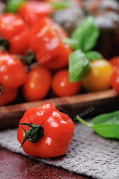 Preview: Single fresh tomato with salt and basil on red background