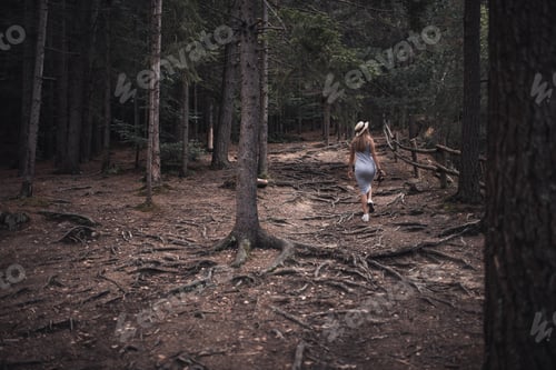 Preview: Traveler woman tourist in a dark forest