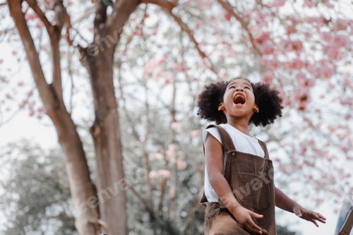 Preview: Young, beautiful African American girl with black curly hair