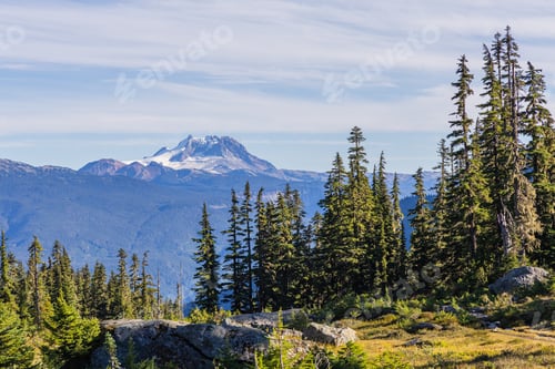 Preview: Scenic View of Brandywine Meadows with Mountain Background in Whistler, British Columbia, Canada