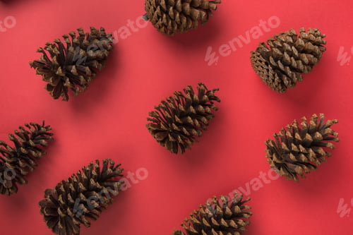 Preview: Many natural cones on red background. Open composition. Xmas card. Happy new Year.