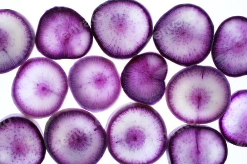 Preview: Purple radish