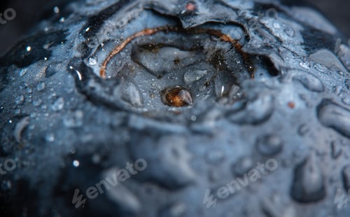Preview: Blueberry covered with water drops, exteme macro background