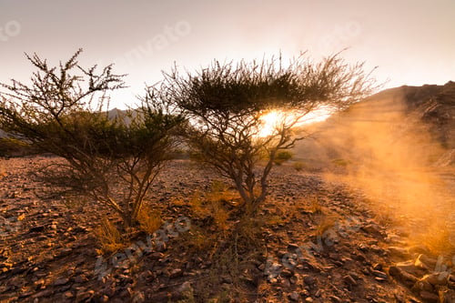 Preview: Rocky desert in Fujairah mountains at sunset, United Arab Emirates