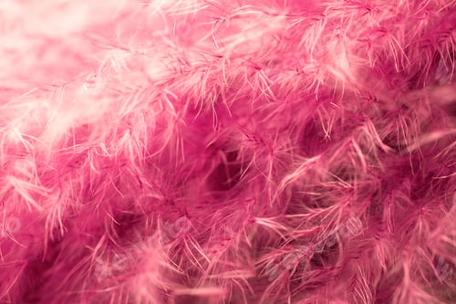 Preview: Living coral feather abstract background. Studio macro shoot.