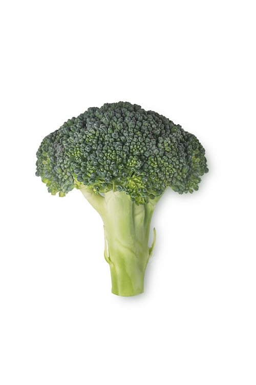 Preview: Green Broccoli isolated on white background with shadow