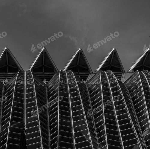 Preview: Grayscale shot of the walls of The Museu de les Ciencies Principe Felipe in Spain