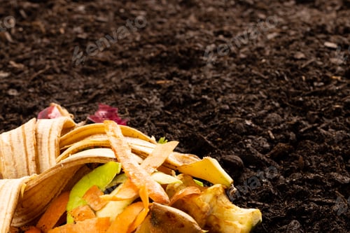 Preview: Organic fruit and vegetable waste for composting on dark soil, with copy space