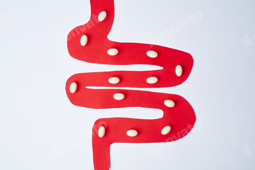 Preview: Close up of lactobacillus and probiotic pills passing through intestine
