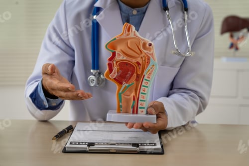 Preview: A male doctor sits at the table, explaining the respiratory and digestive systems, highlighting