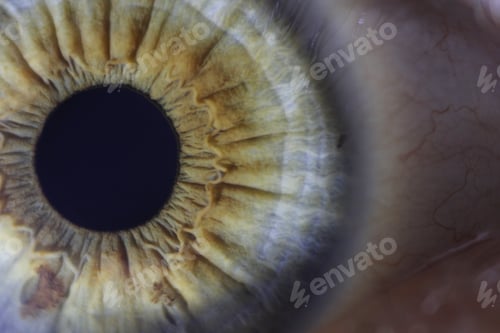 Preview: Macro picture of a green human eye